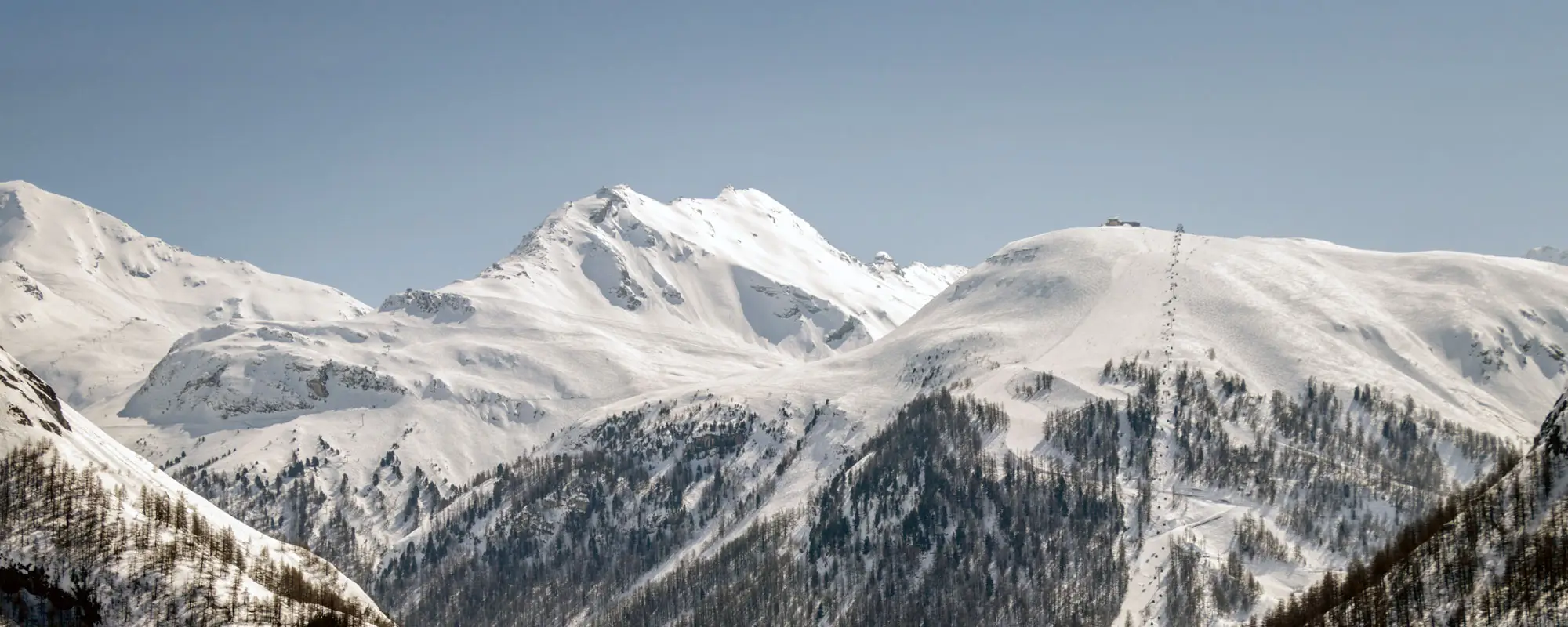 Valdisere