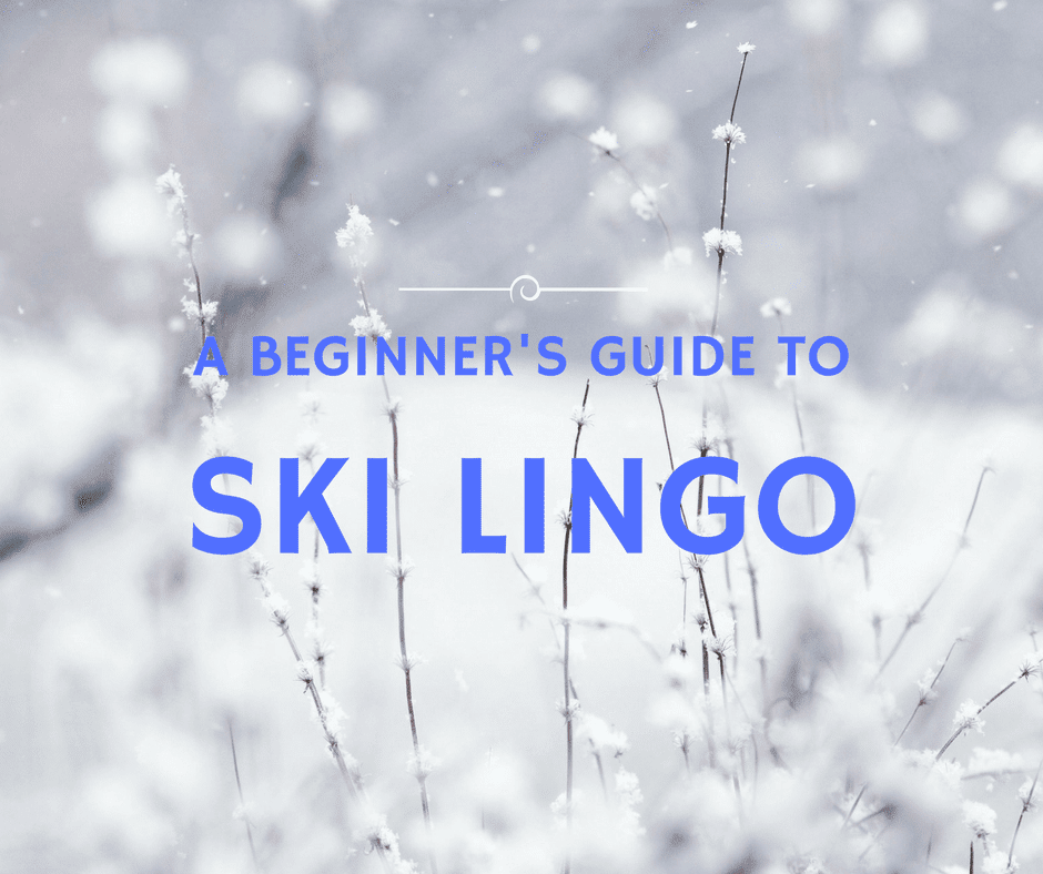 A BEGINNERS GUIDE TO