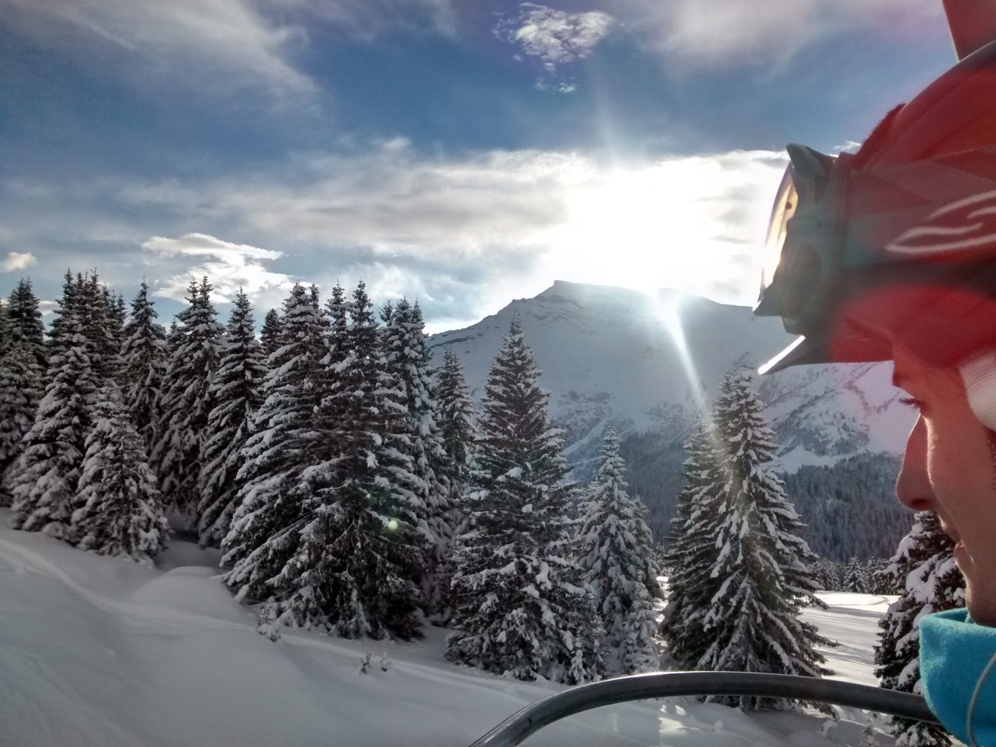 Morzine trees