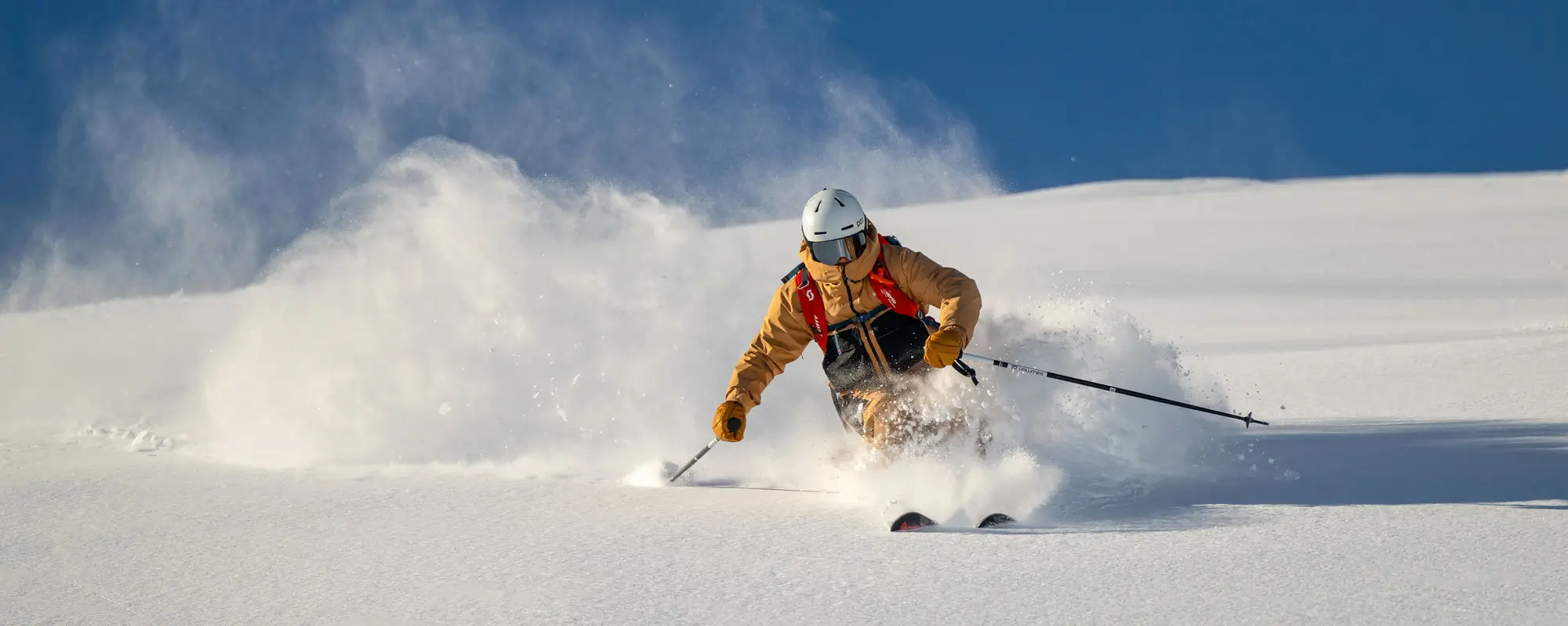 Specialist ski lesson